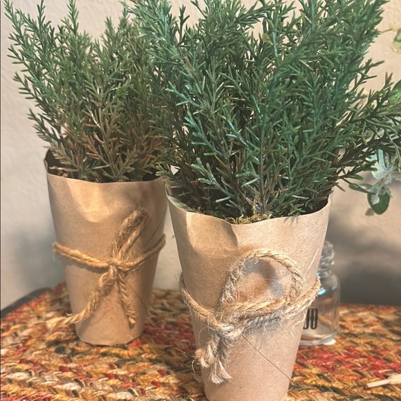 Green Faux Plant in Tan Paper Wrap - Picture 4 of 10